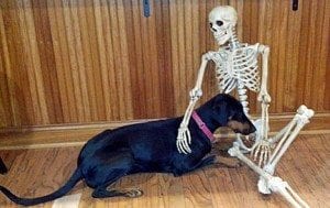 Laev and our houseguest McCoy the Skeleton