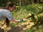 Alena feeds a tiny dinosaur