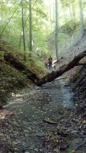 IMG_20131011_163802_702