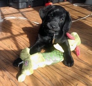 Yes, your face WILL stick like that.