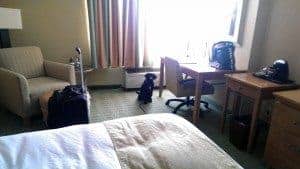 Mindy the black lab puppy sits in a hotel room corner, where a door would be relative to the bed in the bedroom at home
