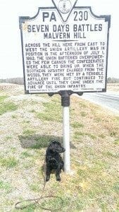 at the Seven Days Battles Malvern Hill civil war battlefield