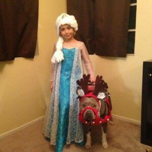 girl in Queen Elsa costume holding harness of pit bull service dog dressed as reindeer with antlers and jingle bells