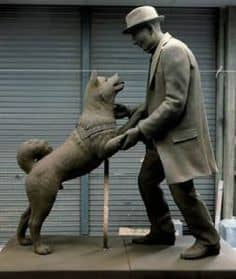 Hachiko and Ueno, reunited at last