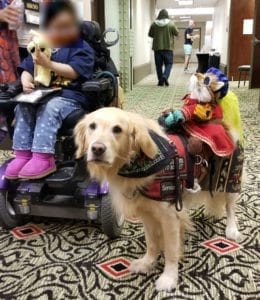 Sir Didymus and Ambrosius, from The Labyrinth