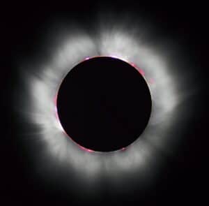 A solar eclipse is shown in black and white, emphasizing pet safety during the event.