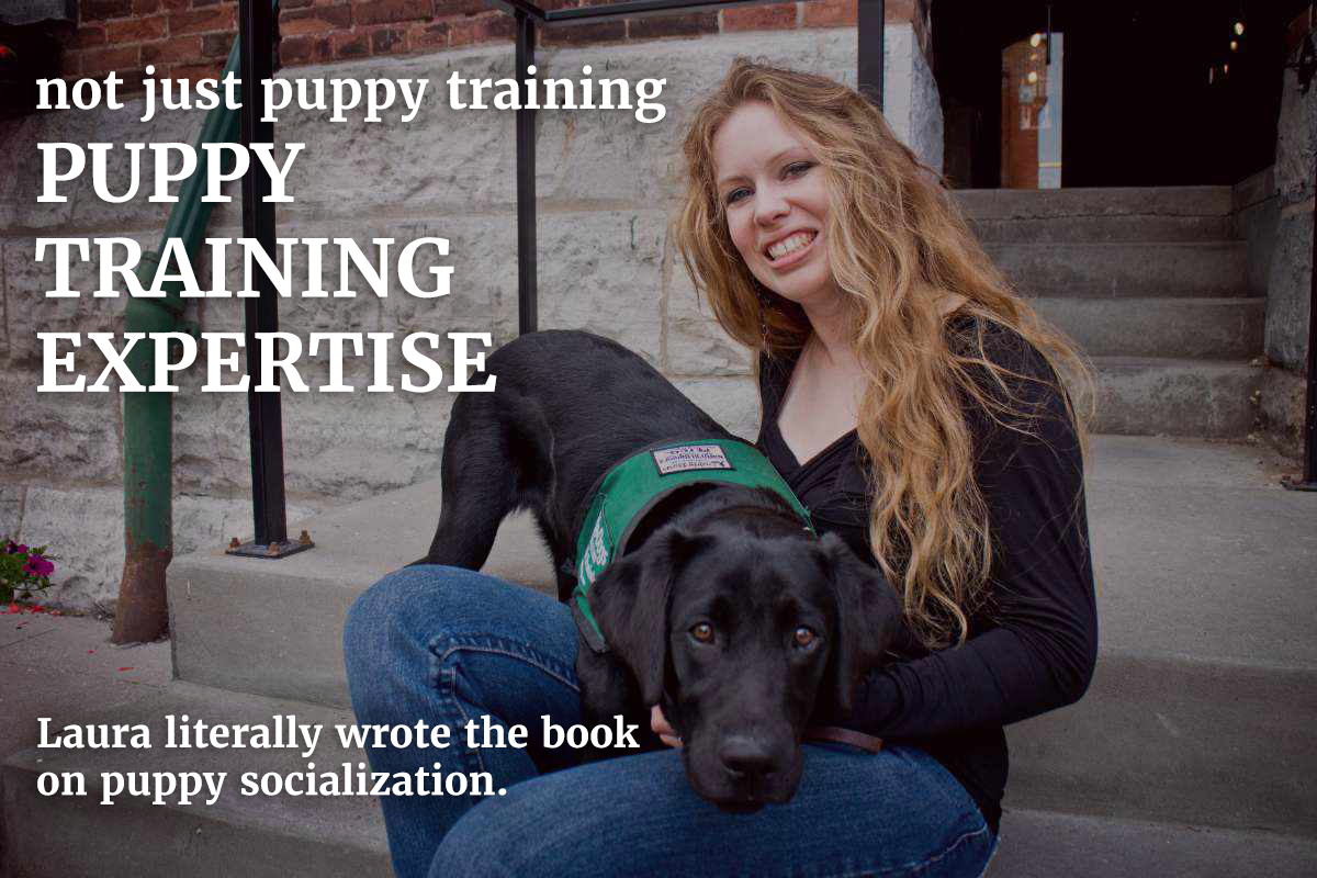 A woman with long, wavy hair sits on outdoor steps, smiling at the camera. A black labrador puppy wearing a green vest rests its head on her lap. Text promoting puppy training expertise overlays the image.